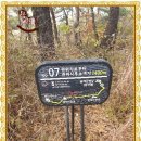 자연체육관 이미지