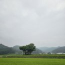 세종특별자치시청 | :: 국립세종수목원 :: 세종자치특별시청 세종시 가볼만한 곳