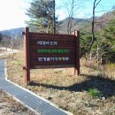 언별2리 Daum카페