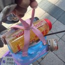 부처울골천 | 멕시코 남편의 첫 한국야구직관 5월16일 한화/KT 어제자 직관 후기 수원구장