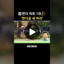 곰세마리 노래를 러바오 아이바오 푸바오로 바꾸어서 노래 이미지