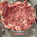 율이네식당 | 대구 들안길맛집 소고기맛있는 율이네소고기 방문기