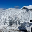 육가원칙 이미지