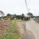 표선리-1 이미지