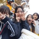 일루스터태권도장 - 광명시 양달로10번길 7-8 | 일루스터태권도장