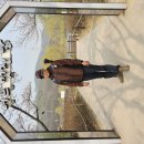2023년4월6일 목요일 부천역~성주산~인천대공원 벚꽃길 이미지