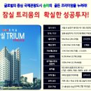 글러벌비젼센터