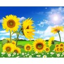 엘리 - 속초시 중앙로 133-1 | 엘리