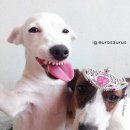 표정