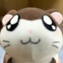 씨유 함안자이점 | 0117 - 0118