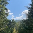 경안천 왕산리 이미지