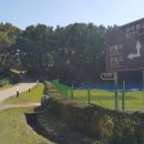 계림마을 이미지