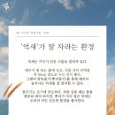 우아한바람