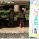 보은하다 이미지