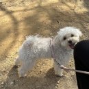 클럽미즈라미체의원 이미지