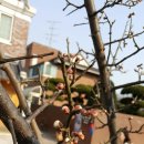 지금 이 순간 이미지