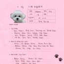 1384 | [#1384] 구름(양측 슬개골탈구 G3)의 수술후기