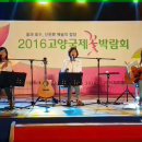 여성통기타밴드 민들레 2016.5.9 고양시 꽃박람회 공연 - Callifornia Dreaming 이미지