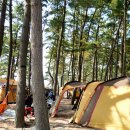 춘장대나드리캠핑장 이미지