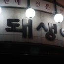 돼생이