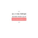 피쉬스쿨 이미지