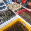 은희수산 이미지