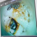 CH동물병원 이미지