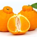 용모농장 이미지