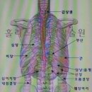 "커피 한잠 마실때도 건강관리법이 있다",, 이미지