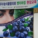 지리산 산야초영농조합법인