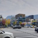 업타운주짓수