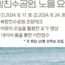 요가(기초야간) 이미지