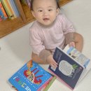 음악이 있는 명화이야기 | 만 0세 1세 전집 아람 베이비올 명화음악 아기 책육아 후기