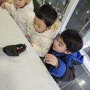 11-1불암산 나비정원 현장학습 이미지