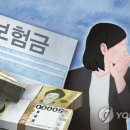 누나 몫의 막냇동생 교통 사망사고 합의금 1억 원 가로챈 60대 이미지