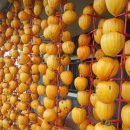 원택농장 이미지