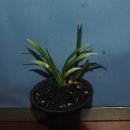 자산동244 이미지