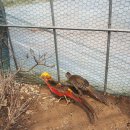 금계농원 이미지