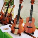 우쿨렐레 중급반 이미지