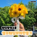 삼화종합장식 | [우당탕탕결혼] 야외 스냅촬영 - 둔산대전꽃도매시장/셀프부케만들기