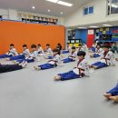 대솔경희대태권도장 이미지