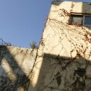 망미1동 이미지