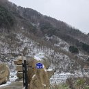 신촌지락 | 힐링할수 있는 하동펜션 신촌지락 다녀왔어요~!