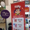 홀리카홀리카 페코짱 콜라보레이션 짱 귀욤 이건 꼭 사야돼
