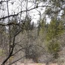Campbell Valley Regional Park 이미지