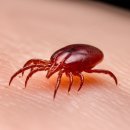 ㈜트리비스 이미지