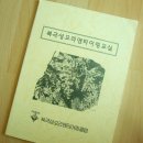 칼라시대 이미지