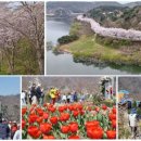 관광순환도로 아시아경제