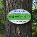 국립검마산자연휴양림 이미지