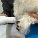 이을동물병원 이미지